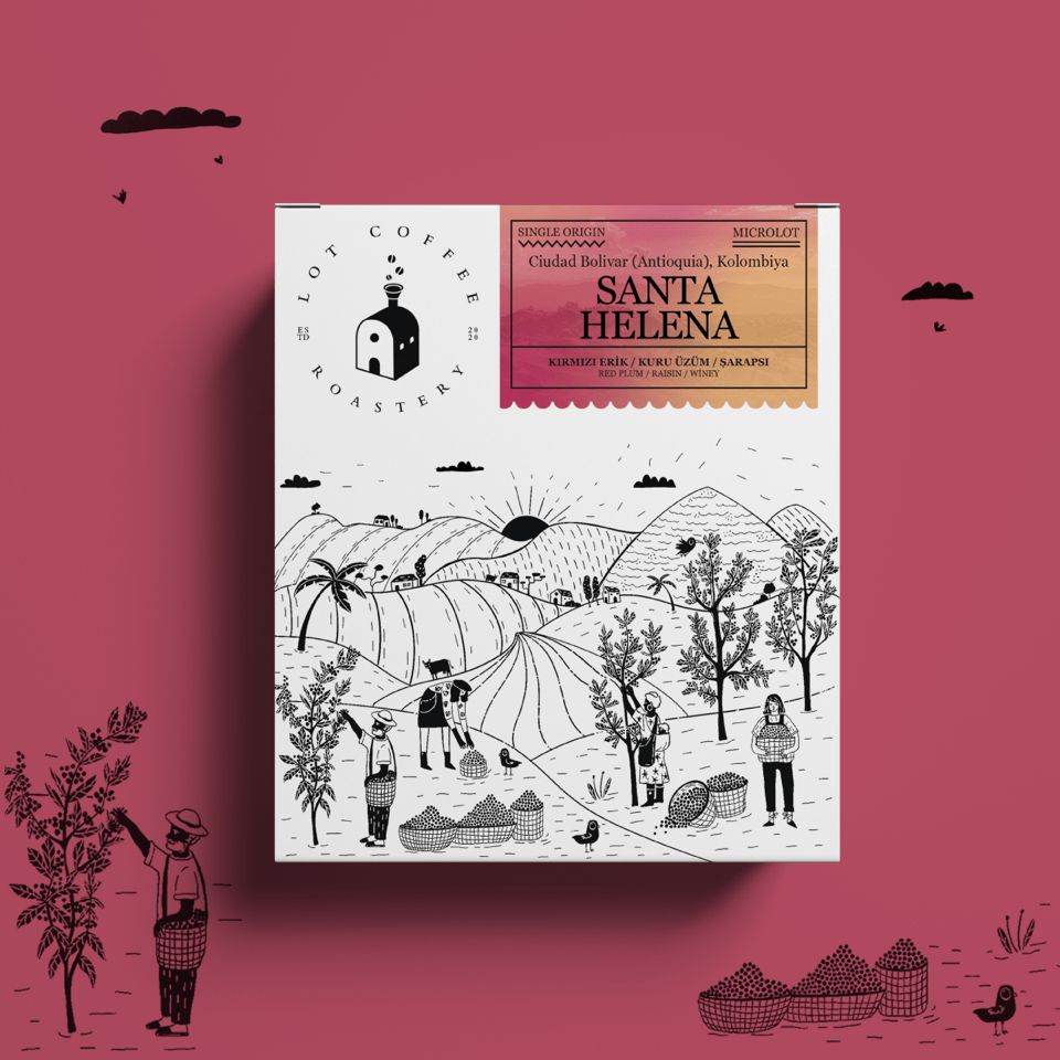 Santa-Helena.png